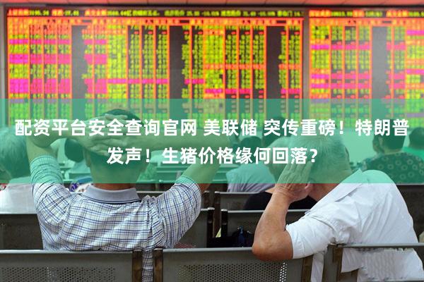 配资平台安全查询官网 美联储 突传重磅！特朗普发声！生猪价格缘何回落？