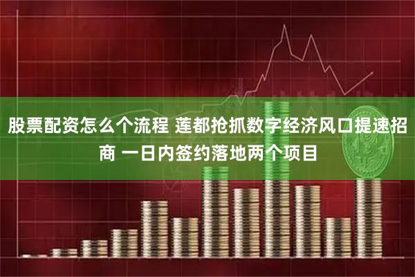 股票配资怎么个流程 莲都抢抓数字经济风口提速招商 一日内签约落地两个项目
