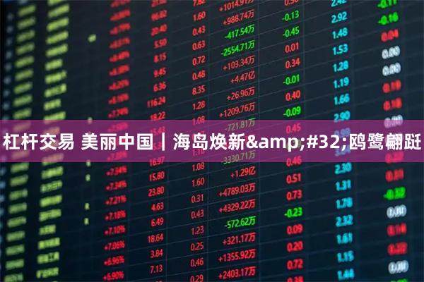 杠杆交易 美丽中国｜海岛焕新 鸥鹭翩跹
